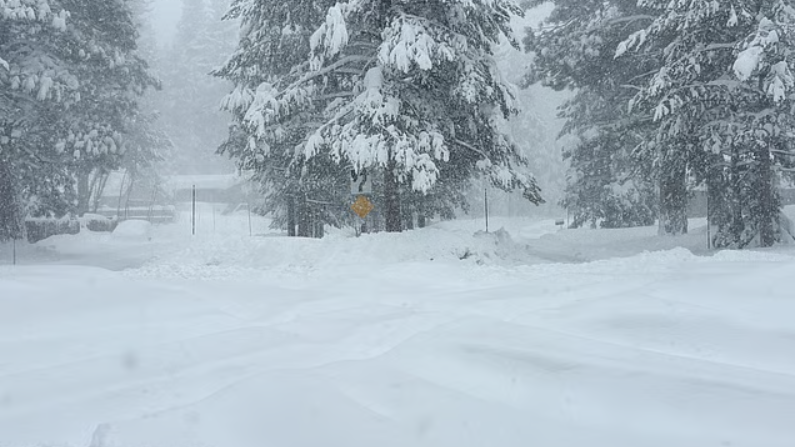 Avalanche Horror in California: Who Survived and Who Didn’t?