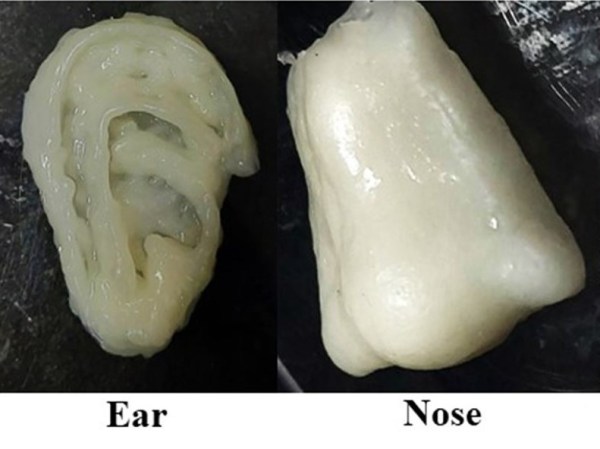 3D printed ear and nose