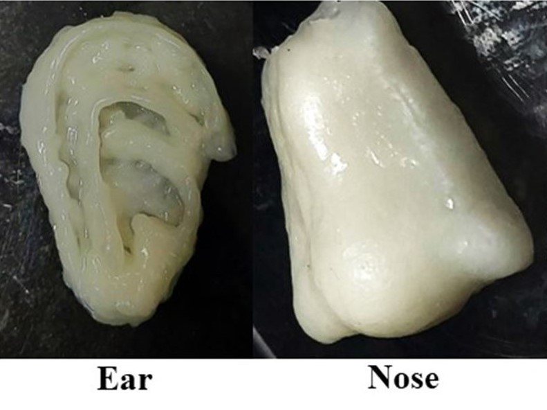 3D printed ear and nose